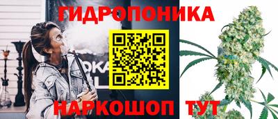 ГАЛЛЮЦИНОГЕННЫЕ ГРИБЫ Кимры