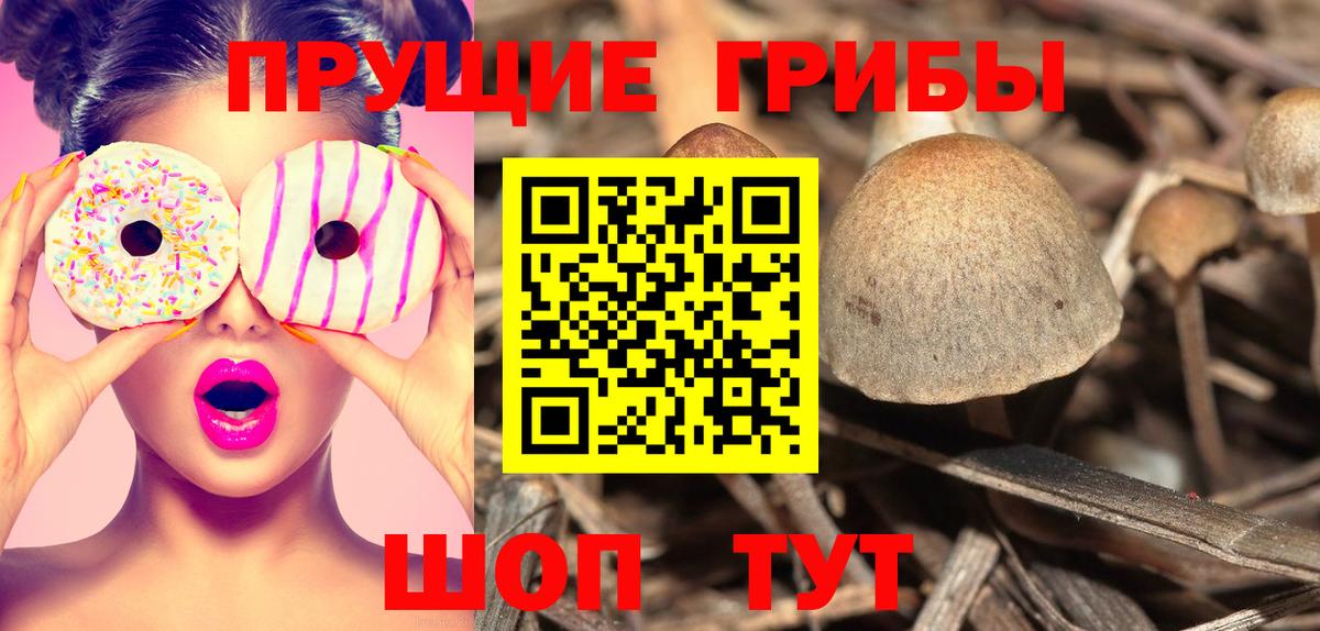 Псилоцибиновые грибы ЛСД Кумертау