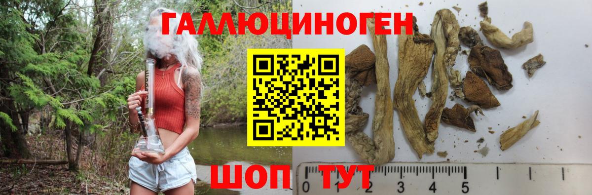 цены   Галлюциногенные грибы мухоморы  Вход с VPN  Кумертау  Галлюциногенные грибы прущие грибы 
